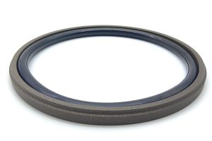 Single-acting piston seal GSD