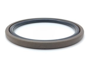 PTFE Filled Bronze Seal